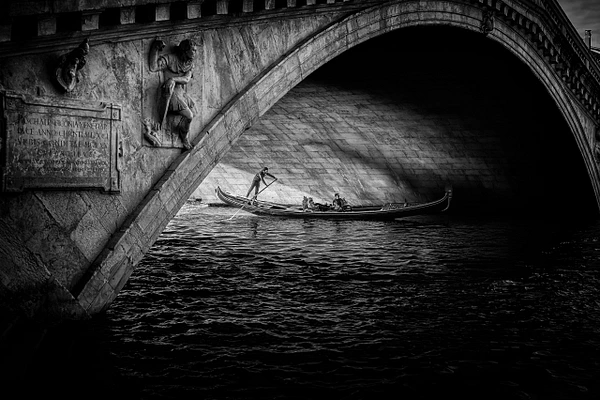 Andrew Newman Photography
